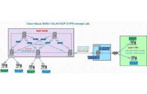 Cisco-Nexus-9000v-VXLAN-BGP-EVPN-concept-Lab